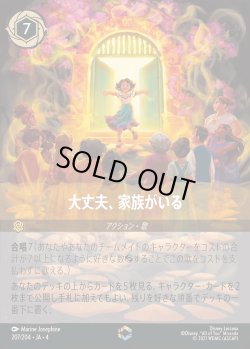 画像1: 大丈夫、家族がいる【E】{207/222}[JA-4]