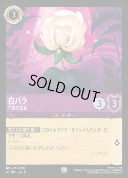 画像1: 白バラ - 花園の宝石【C】{040/222}[JA-6]