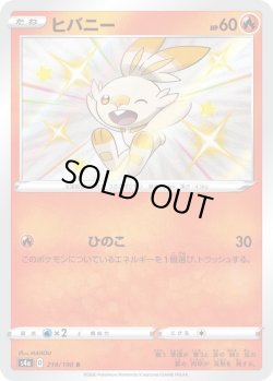 画像1: ヒバニー【S】{214/190}[S4a]