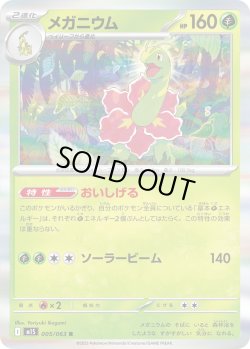 画像1: メガニウム【R】{005/063}[m1S]