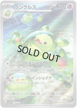 画像1: ランクルス【AR】{075/071}[sv5K]