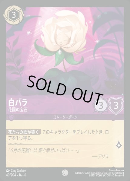 画像1: 白バラ - 花園の宝石【C】{040/222}[JA-6] (1)