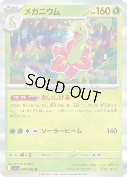 画像1: メガニウム【R】{005/063}[m1S] (1)